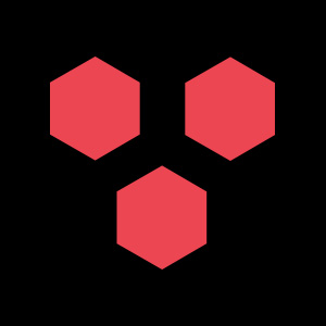 Raspberry IT Services
