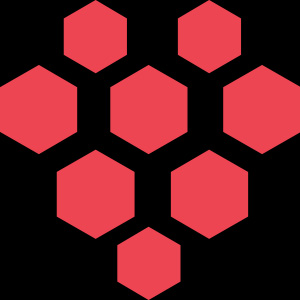 Raspberry IT Services
